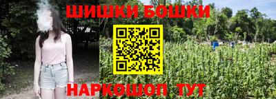 сатива Славгород