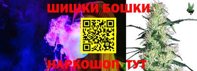 сатива Славгород