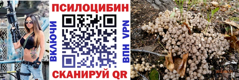 купить  сайты  Тверь  Псилоцибиновые грибы ЛСД 