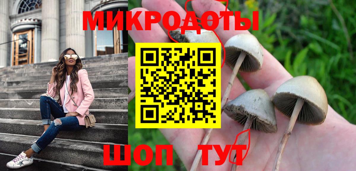 купить   Вход с VPN  Тверь  Галлюциногенные грибы GOLDEN TEACHER 